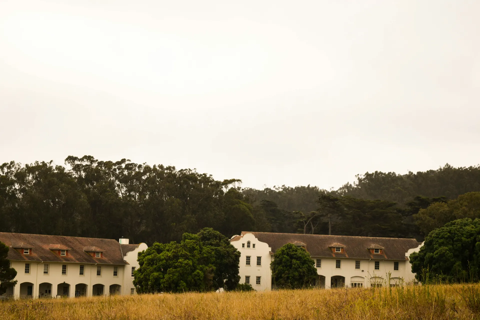 Arched windows to the garden